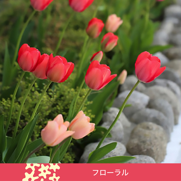 春のスペシャルブレンド