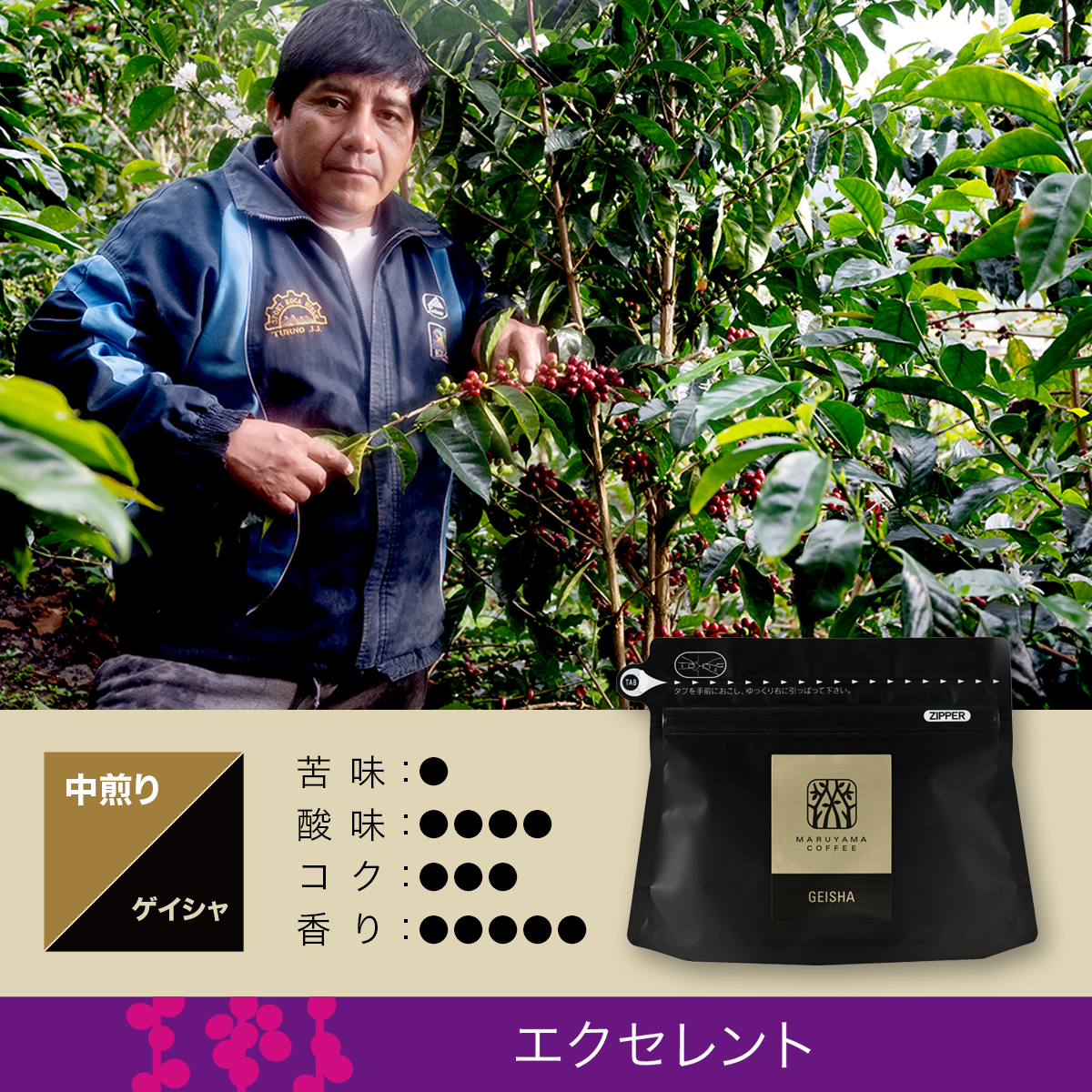 ラ・ソリダリア ゲイシャ 中煎り