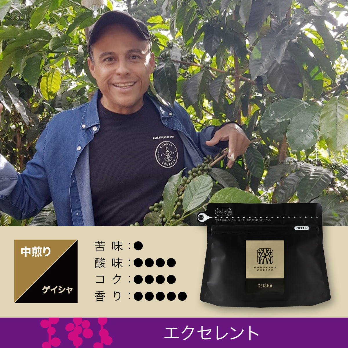 コスタリカ フランシスコ・メナ ゲイシャ イエローハニー 中煎り