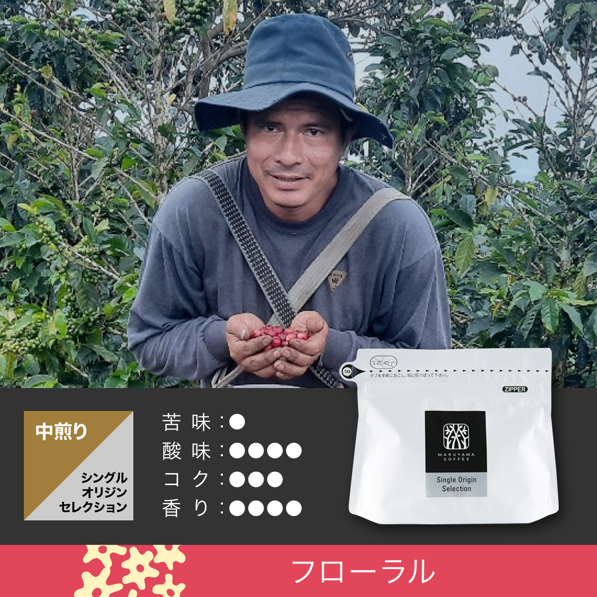 ラ・オルキデア 中煎り