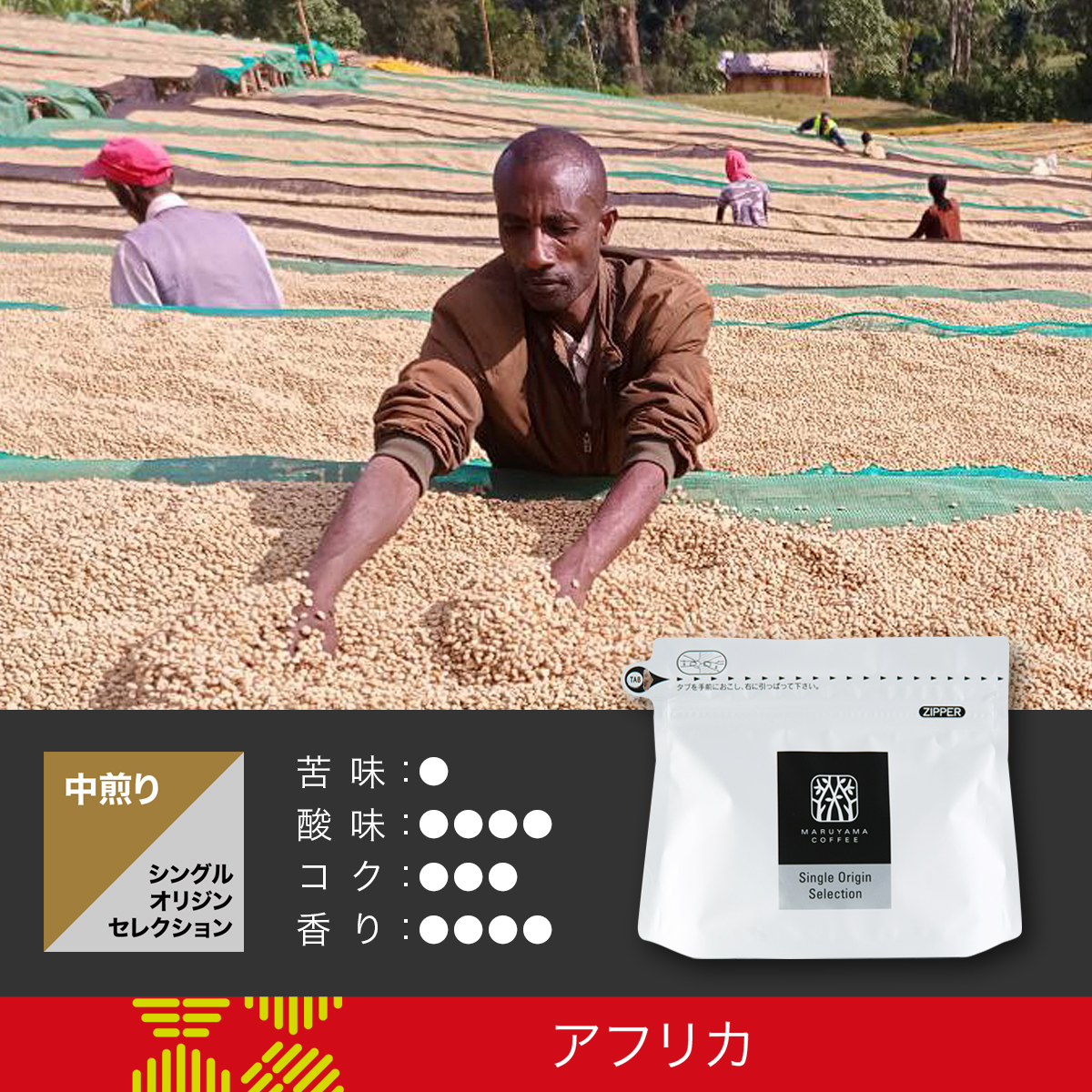 エチオピア シダマ ウォッシュト 中煎り | 丸山珈琲 MARUYAMA COFFEE