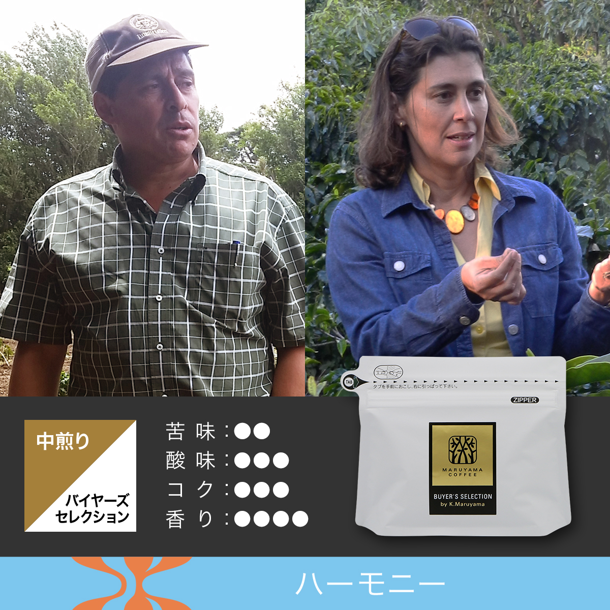 ビンダス・ブラザーズ SL28 ナチュラル 中煎り | 丸山珈琲 MARUYAMA COFFEE