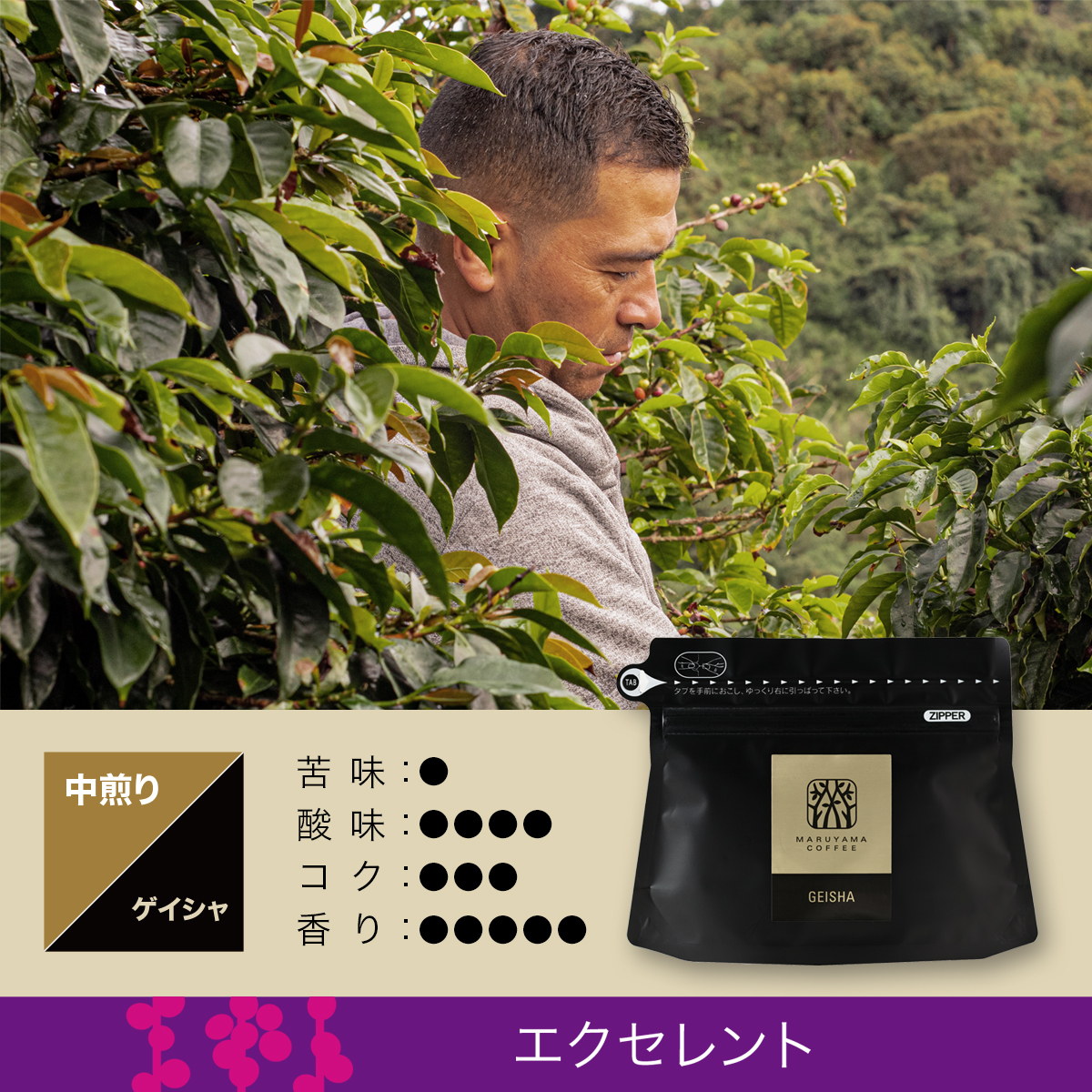 ヤミット・ディアス ゲイシャ 中煎り | 丸山珈琲 MARUYAMA COFFEE ヤミット・ディアス ゲイシャ 中煎り | 丸山珈琲 MARUYAMA COFFEE