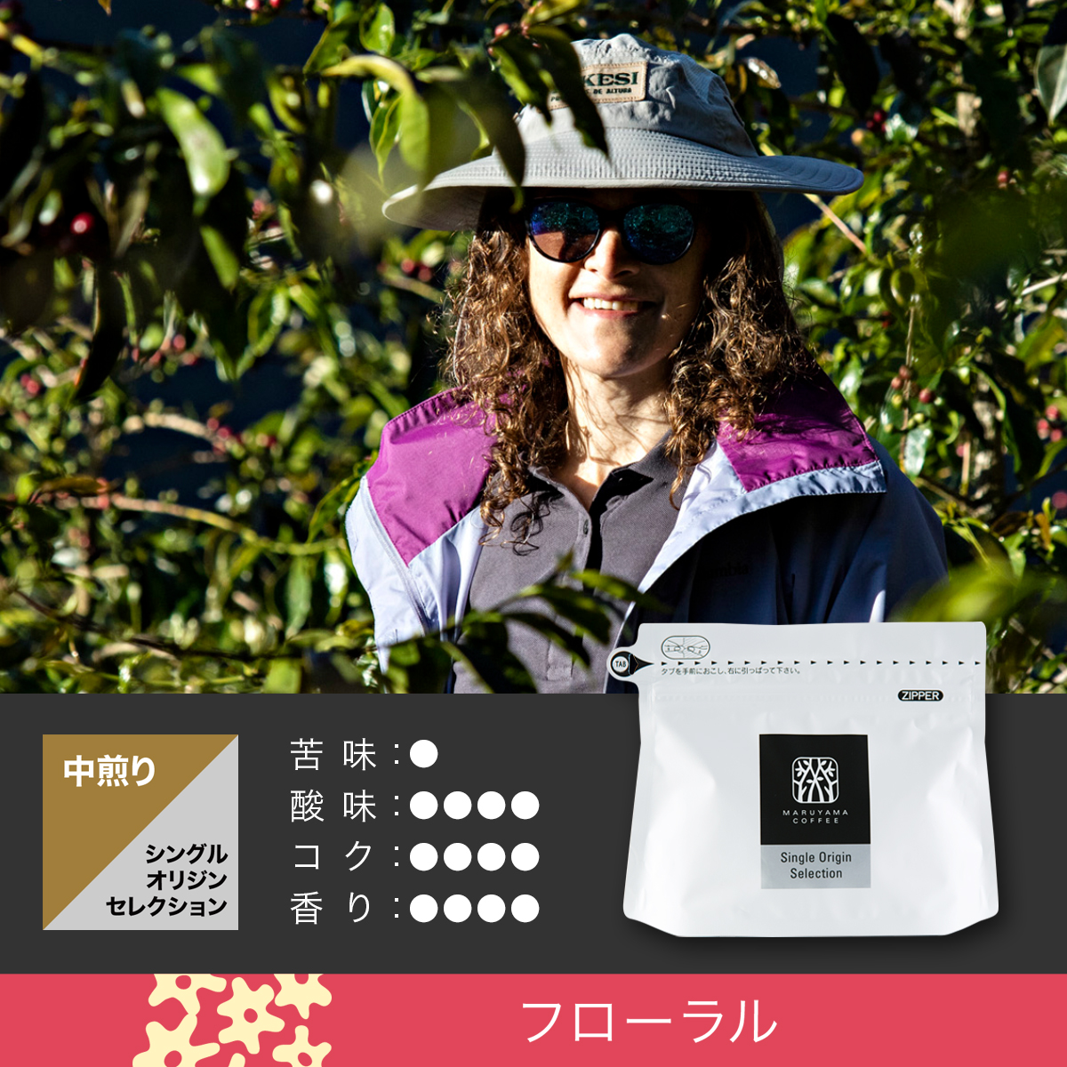 アグロタケシ ジャバ ウォッシュト 中煎り