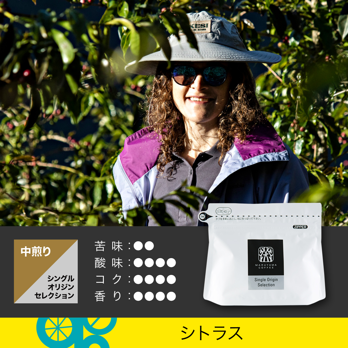 アグロタケシ レッドカトゥアイ ウォッシュト 中煎り