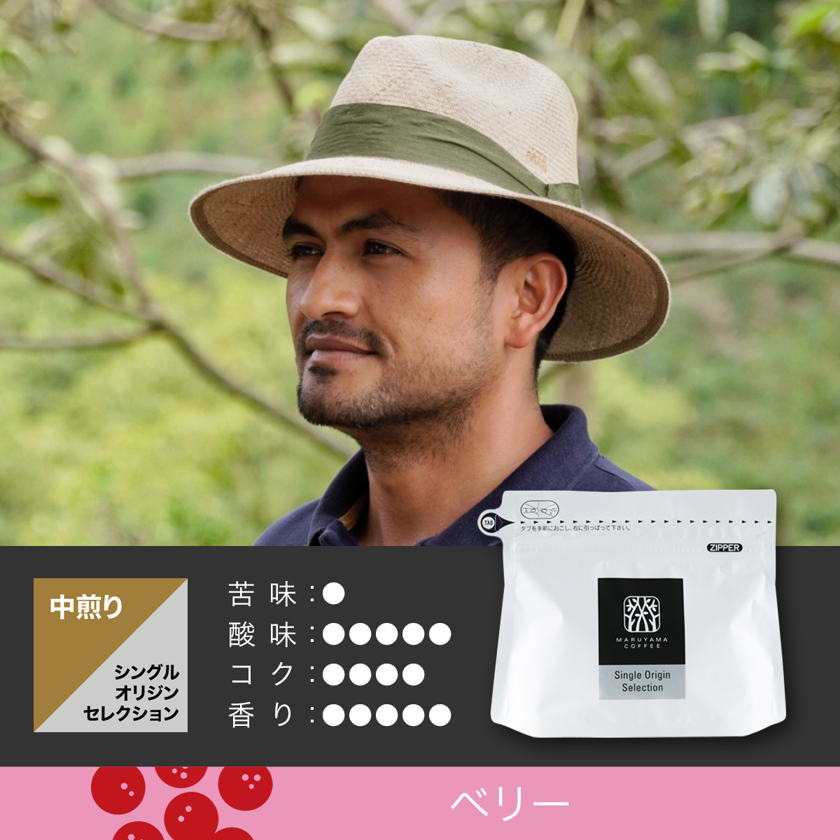 コロンビア オスカー・エルナンデス ピンクブルボン ナチュラル 中煎り